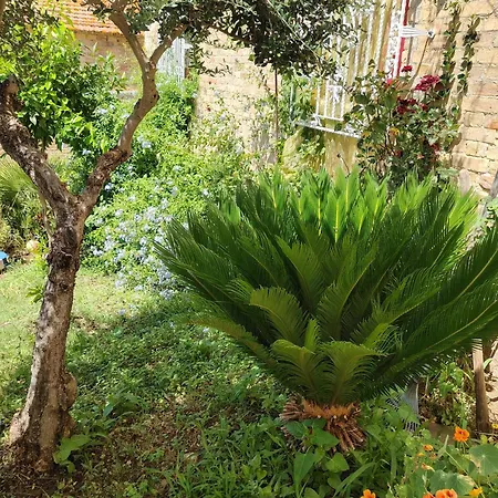 Gianna Apartment Spoltore