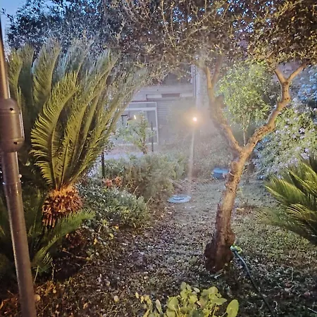 Gianna * 스폴토레